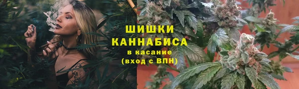 стаф Верея