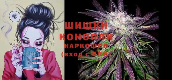 a pvp Бородино