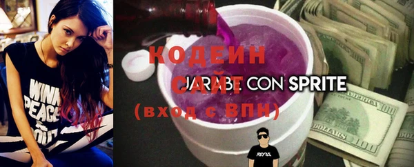 стаф Верея