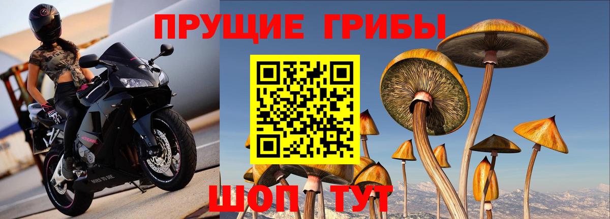 Воркута  Галлюциногенные грибы Cubensis  Галлюциногенные грибы Cubensis  Вход с VPN 